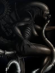 Rule34 - If it exists, there is porn of it  netherwulf, xenomorph  7780221