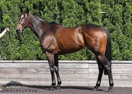 56866 12 3 4 5 6 7 8 9 10. ãƒ€ãƒŽãƒ³ãƒ•ã‚¡ãƒ³ã‚¿ã‚¸ãƒ¼ãŒä¸¸ã‚ã‹ã‚Š ç«¶èµ°é¦¬ãƒ‡ãƒ¼ã‚¿ãƒ™ãƒ¼ã‚¹ ç«¶é¦¬ãƒ©ãƒœ
