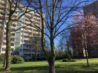 Jetzt passende mietwohnungen bei immonet finden! Sankt Augustin Schone Helle 3 Zimmerwohnung Im Erdgeschoss