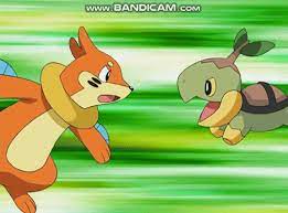 Pokemon In Action (+ Digimon) — Turtwig used Bite! Buizel used Sonic Boom!  ~...