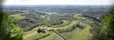 Check spelling or type a new query. Mn Apple Orchards Apple Orchards In Mn Apple Orchards