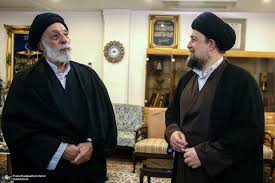 تصاویری از دیدار سیدحسن خمینی با سیدهادی خامنه‌ای