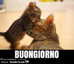 Buongiorno mamma su canale 5 quando esce? Buongiorno Facciabuco Com