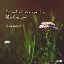 23 Most Famous Inspirational Photography Quotes Quotes About Photography Photographer Quotes Photography Inspiration Quotes