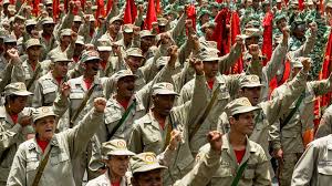 Image result for Milicia