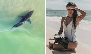 You can enter the water quite a way which slowly gets deeper and therefore children play quite happily there in a calm environment. Underwater Filmmaker Spots Great White Shark Sightings In Far Northern Nsw Daily Mail Online