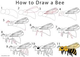 These lovely plants, with their unique greenery and vibrant flowers, grow well in containers or as ground cover around vegetable gardens. Cool Drawings For Those Wandering And Bored Minds Flower Drawing Bee Drawing Bee Painting