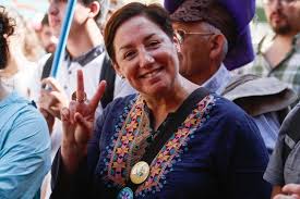 Resultado de imagen para chile frente amplio