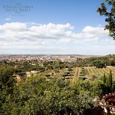 45002, nuncio viejo, 1 toledo, toledo tel.: Vinedos Cigarral Santa Maria Photos Facebook