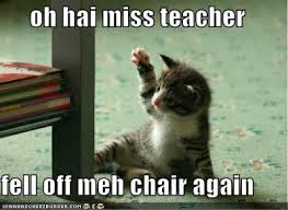 Where to find the best funny cat memes? 15 Funny Cute Photos And Images