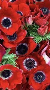 Pin On Wedding Flowers