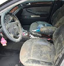 How to remove mold from carpet. 3 Natural Ways To Remove Mold From Car Seats And Interior Wheels Guide
