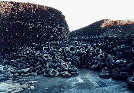 Image result for Canadian Tyre White 1965 BFI Waste