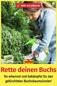 Erste Hilfe Paket Fur Buchsbaume Buchsbaumzunsler Teichpflanzen Garten