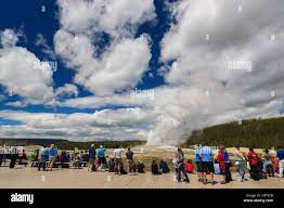 People watching Old Faithful geyser in Yellowstone National Park, Wyoming,  USA Stock Photo - Alamy