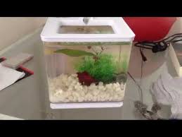 Marina Ez Care Betta Diy Built In Filter Youtube