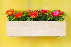 Check spelling or type a new query. Artificial Flowers In Wooden Box Hang On The Bright Yellow Wall Stock Photo Picture And Royalty Free Image Image 20556884