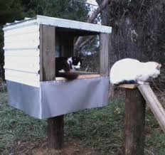 Feeding feral or stray cats? Alley Cat Allies Feeding Station Options Gallery Cat Feeding Station Diy Cat Feeding Station Cat Food Station