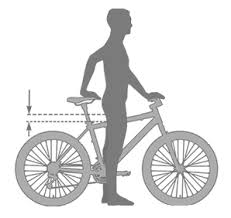 Stand with your back against the wall, as flat as possible and with no shoes or socks. Bike Size Chart What Size Bike Should I Get The Ultimate Resource