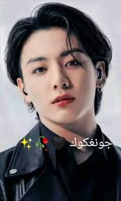 محبين جونكوك ( الارمي فقط)   