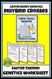 Dihybrid cross is the cross between two different genes that differ in two observed traits. Easter Dihybrid Cross Punnett Square Practice Worksheet Science Teaching Resources Dihybrid Cross Worksheet Middle School Science Resources