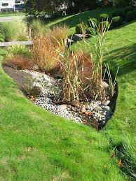 Rain Garden Rain Garden Design Rain Garden Front Yard Landscaping