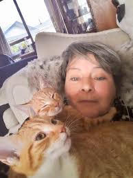 The kiwi cat stealing hearts