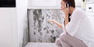 Um den geruch frischer farbe aus der wohnung zu beseitigen, stellen sie nach dem streichen ein paar schalen mit salz (kochsalz) auf. Unangenehme Geruche In Der Wohnung Vermeiden Und Neutralisieren