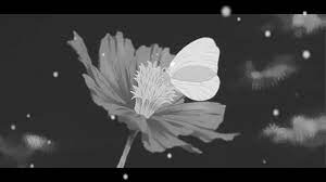 La Mariposa Blanca Cuento Japones Youtube