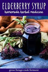 How To Make Elderberry Syrup Simple Recipe With Fresh Or Dried Berries Recipe Elderberry Syrup Recipe Elderberry Syrup Elderberry