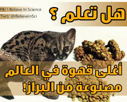 هل تعلم أغلى قهوة في العلم مصنوعة من البراز نعم هي القهوة المسماة بـ كوبي لواك أو قهوة الزباد تعد الأغلى عالمي ا بسعر يتجاوز ا science facts science facts