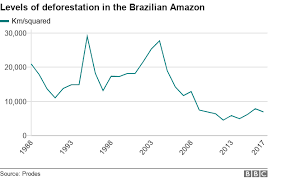 Is The Amazon Facing New Dangers Bbc News