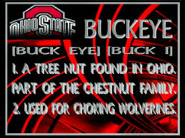 Explore ohio state football wallpaper 2015 on wallpapersafari | find more items about ohio state wallpaper, ohio state wallpaper for the great collection of ohio state football wallpaper 2015 for desktop, laptop and mobiles. 48 Cool Ohio State Buckeyes Wallpaper On Wallpapersafari