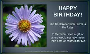 September Birthday Pictures Flowers Birth Flowers September Birth Flower September Flowers