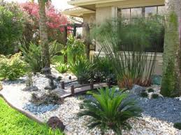 How To Fill Garden Design With Florida Native Plants Patio Landscape Design Succulent Landscape Design Landscape Design