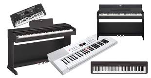 Klaviertastatur jeder block umfasst sieben tasten die jeweils für eine note stehen. Die 7 Besten Keyboards Fur Kinder Ratgeber Dad S Life