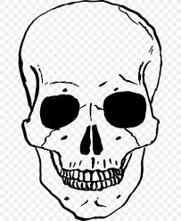This short is a quick drawing lesson on how to draw a flami. Skull Human Skeleton Drawing Clip Art Png 653x1000px Skull Artwork Black And White Bone Drawing Download