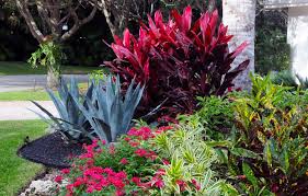This Boca Raton Landscape Designed By Pamela Crawford Glows With Colorful Plants See O Tropical Landscaping Tropical Landscape Design Front Yard Landscaping