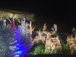 La Zoo Lights Take Holiday Lights To Another Level Giveaway Holiday Lights Zoo Lights Holiday