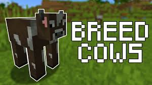 Minecraft features several mobs that are peaceful, neutral, and hostile. How Often Can Players Breed Cows In Minecraft