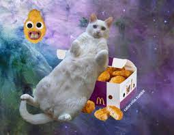 Best chicken nuggets that i have ever had. Caterville Let S Get Nuggets