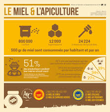 Avoir Une Ruche Chez Soi Clem Around The Corner Apiculture Miel Infographie
