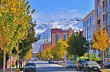 Image result for Vanwykia