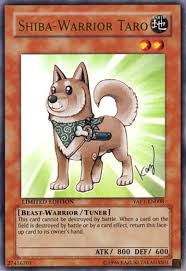 This card also came out in 2004 and used to be quite popular in matches. Top 10 Cutest Yugioh Cards Qtoptens Yugioh Cards Fake Pokemon Cards Yugioh