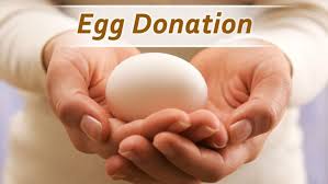 Check spelling or type a new query. How Much Do You Get For Donating Eggs And Best Places To Try