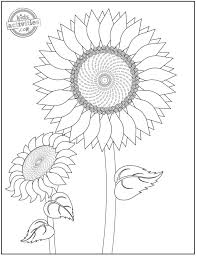 It allows your children to learn about the different types of leaves and their characteristic features. 14 Original Pretty Flower Coloring Pages To Print Kids Activities Blog