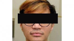 Hasil gambar untuk REYNHARD SINAGA kompas