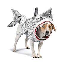 12 Adorable Dog Costumes That Will Make Everyone S Halloween A Little Sweeter Dog Shark Costume Dog Halloween Costumes Pet Costumes For Dogs