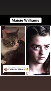 Replying to @sadgirlfilth yes. #doppleganger #got #shermandoingthings  #findyourgrace