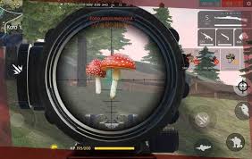 Welcome to vala gaming channel kali ini konten free fire moment lucu lagi ya kawan.yang pastinya menghibur buat kalian semua. Jamur Free Fire Battlegrounds Membawa Berkah Gudang Info
